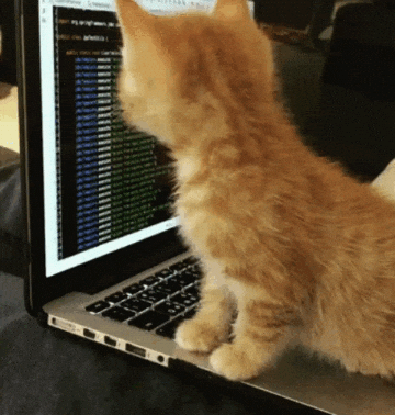 AI agent typing code in terminal at speed